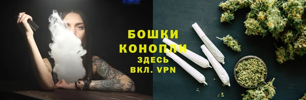 дурь Карпинск