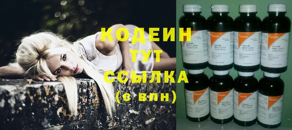 дурь Карпинск