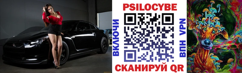 Купить где  Данилов  Псилоцибиновые грибы мицелий 